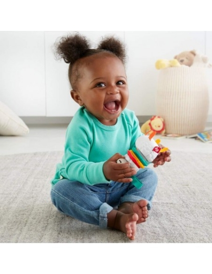 Imagine Fisher Price Jucărie Zornăitoare Lamă Multicoloră