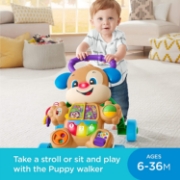 Imagine FISHER PRICE ANTEMERGATOR CATELUSUL INTERACTIV IN LIMBA ROMANA