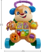 Imagine FISHER PRICE ANTEMERGATOR CATELUSUL INTERACTIV IN LIMBA ROMANA