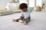 Imagine FISHER PRICE CONTROLLER INTERACTIV IN LIMBA ROMANA