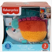 Imagine FISHER PRICE ARICIUL CU ACTIVITATI SENZORIALE