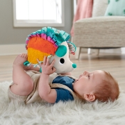 Imagine FISHER PRICE ARICIUL CU ACTIVITATI SENZORIALE