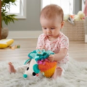 Imagine FISHER PRICE ARICIUL CU ACTIVITATI SENZORIALE