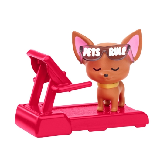 Imagine BARBIE PAPUSA BARBIE EXTRA BARBIE CU BANDANA