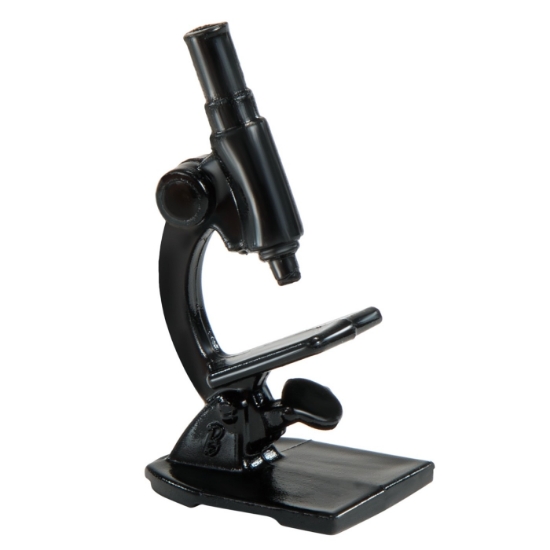 Imagine BARBIE PAPUSA BARBIE OM DE STIINTA