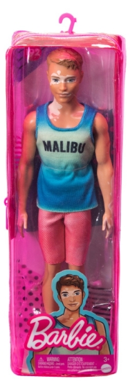 Imagine BARBIE PAPUSA BAIAT FASHIONISTAS CU MAIOU