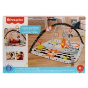 Imagine FISHER PRICE SALTEA MUZICALA 3 IN 1 CU CENTRU DE ACTIVITATI