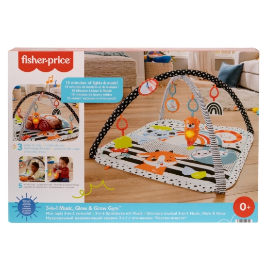 Imagine FISHER PRICE SALTEA MUZICALA 3 IN 1 CU CENTRU DE ACTIVITATI