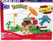 Imagine POKEMON MEGA PICNICUL POKEMON