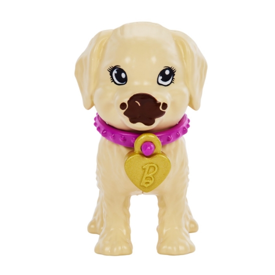 Imagine BARBIE SET PAPUSA BARBIE PUP ADOPTION