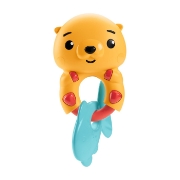 Imagine FISHER PRICE JUCARIE ZORNAITOARE VIDRA