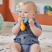 Imagine FISHER PRICE JUCARIE ZORNAITOARE VIDRA