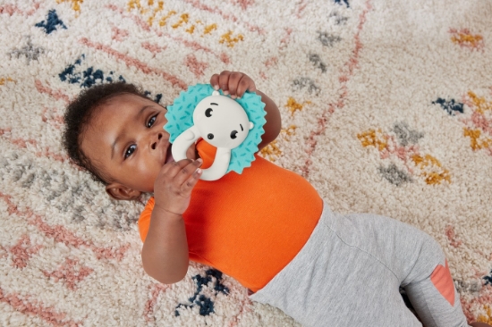 Imagine Fisher Price Jucărie Zornăitoare Arici – prietenul jucăuș pentru mânuțe curioase!