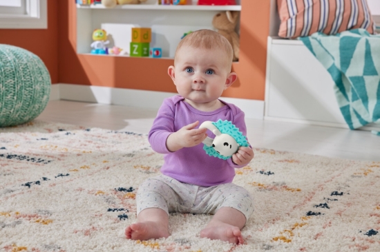 Imagine Fisher Price Jucărie Zornăitoare Arici – prietenul jucăuș pentru mânuțe curioase!