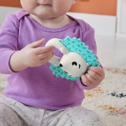 Imagine FISHER PRICE JUCARIE ZORNAITOARE ARICI