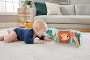 Imagine FISHER PRICE PANOU CU ACTIVITATI