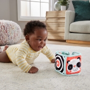 Imagine FISHER PRICE PANOU CU ACTIVITATI