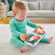 Imagine FISHER PRICE PANOU CU ACTIVITATI