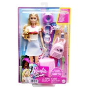 Imagine BARBIE PAPUSA BARBIE IN VOIAJ