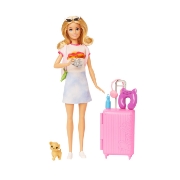 Imagine BARBIE PAPUSA BARBIE IN VOIAJ