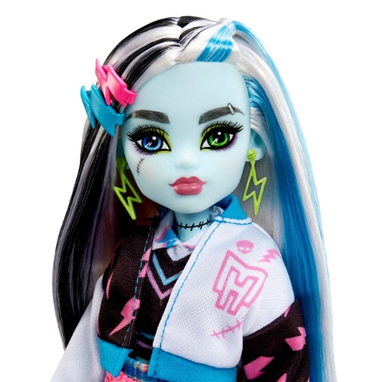 Imagine MONSTER HIGH PAPUSA FRANKIE STEIN CU ANIMALUT SI ACCESORII