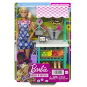 Imagine BARBIE PAPUSA BARBIE YOU CAN BE VANZATOARE LA MARKET
