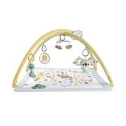 Imagine FISHER PRICE SALTELUTA DE ACTIVITATI