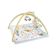 Imagine FISHER PRICE SALTELUTA DE ACTIVITATI