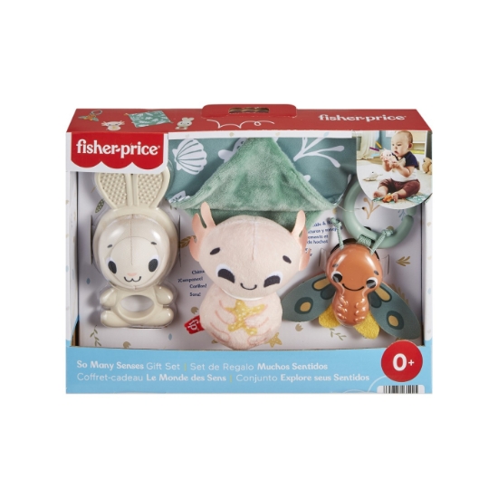 Imagine FISHER PRICE SET 4 JUCARII