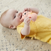 Imagine FISHER PRICE SET 4 JUCARII