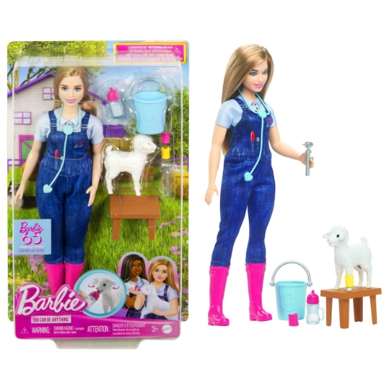Imagine BARBIE PAPUSA BARBIE YOU CAN BE MEDIC VETERINAR
