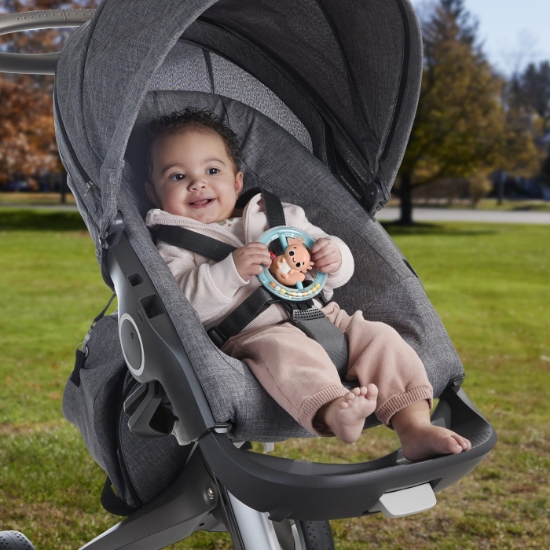 Imagine Fisher Price Jucărie Zornăitoare Salamandra – o rotire veselă, o mângâiere blândă și o joacă de neuitat!