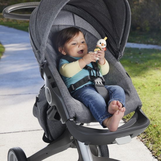 Imagine Fisher Price Jucărie Zornăitoare Gâscă – joacă veselă și descoperiri senzoriale!