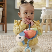Imagine FISHER PRICE PLANET FRIENDS JUCARIE DE AGATAT BROSCUTA TESTOASA
