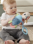 Imagine FISHER PRICE PLANET FRIENDS JUCARIE DE AGATAT BROSCUTA TESTOASA