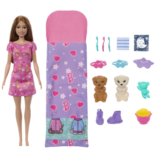 Imagine BARBIE PAPUSA BARBIE FAMILY SET PETRECERE CU 2 CATELUSI COLOR CHANGE