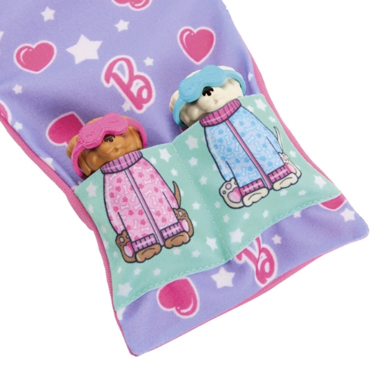 Imagine BARBIE PAPUSA BARBIE FAMILY SET PETRECERE CU 2 CATELUSI COLOR CHANGE