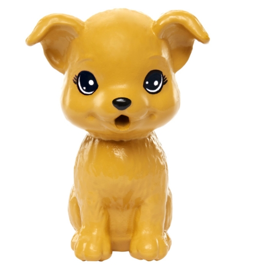 Imagine BARBIE SET PAPUSA STACIE SI CATELUL DE COMPANIE