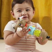 Imagine FISHER PRICE JUCARIE CATELUS DE ACTIVITATE PENTRU BEBELUSI CLICK AND SPIN