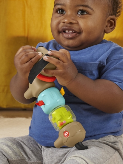 Imagine Fisher Price jucărie cățeluș de activitate pentru bebeluși Click and Spin 