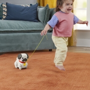 Imagine FISHER PRICE JUCARIE DE TRAS INTERACTIVA CATEL CU MISCARI SI SUNETE 