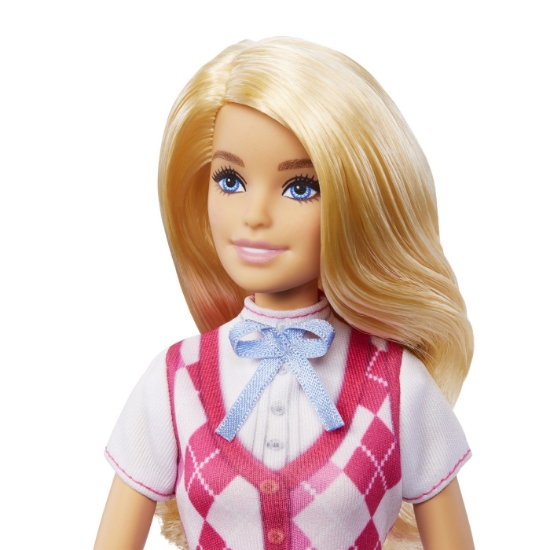 Imagine BARBIE MYSTERIES BARBIE SI CURSA DE CAI