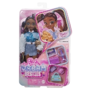 Imagine BARBIE DREAM BESTIES PAPUSA BARBIE BROOKLYN