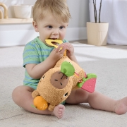 Imagine FISHER PRICE JUCARIE SENZORIALA CAPIBARA