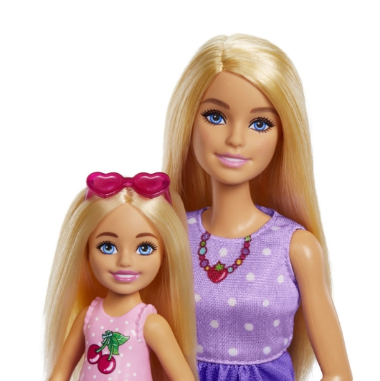 Imagine BARBIE FAMILY AND FRIENDS SET PAPUSA BARBIE SI PAPUSA CHELSEA