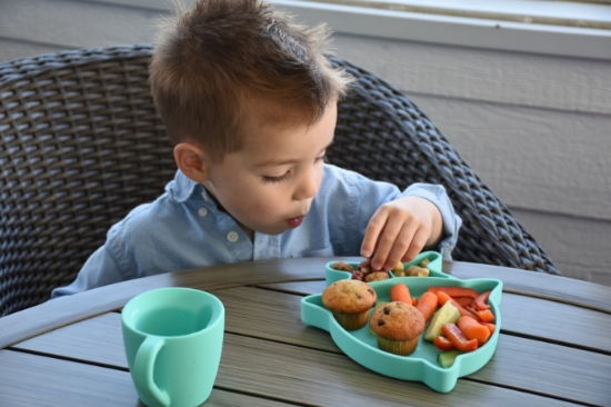 Imagine Farfurie compartimentată din silicon cu ventuză, Melii – Rechin