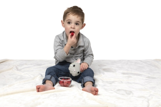 Imagine Recipient hrană bebe, Melii, model Bulldog