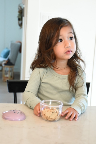 Imagine Recipient hrană bebe, Melii, model pisică