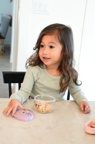 Imagine Recipient hrană bebe, Melii, model pisică