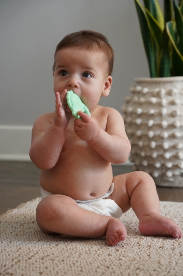 Imagine Set 2 jucării dentiție silicon Melii model dino + rechin